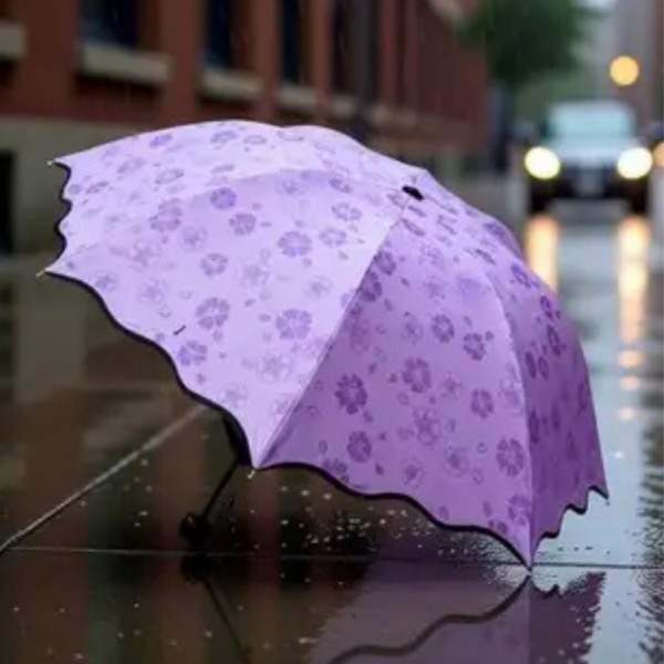 Ladies Women Magic Umbrella Random Color